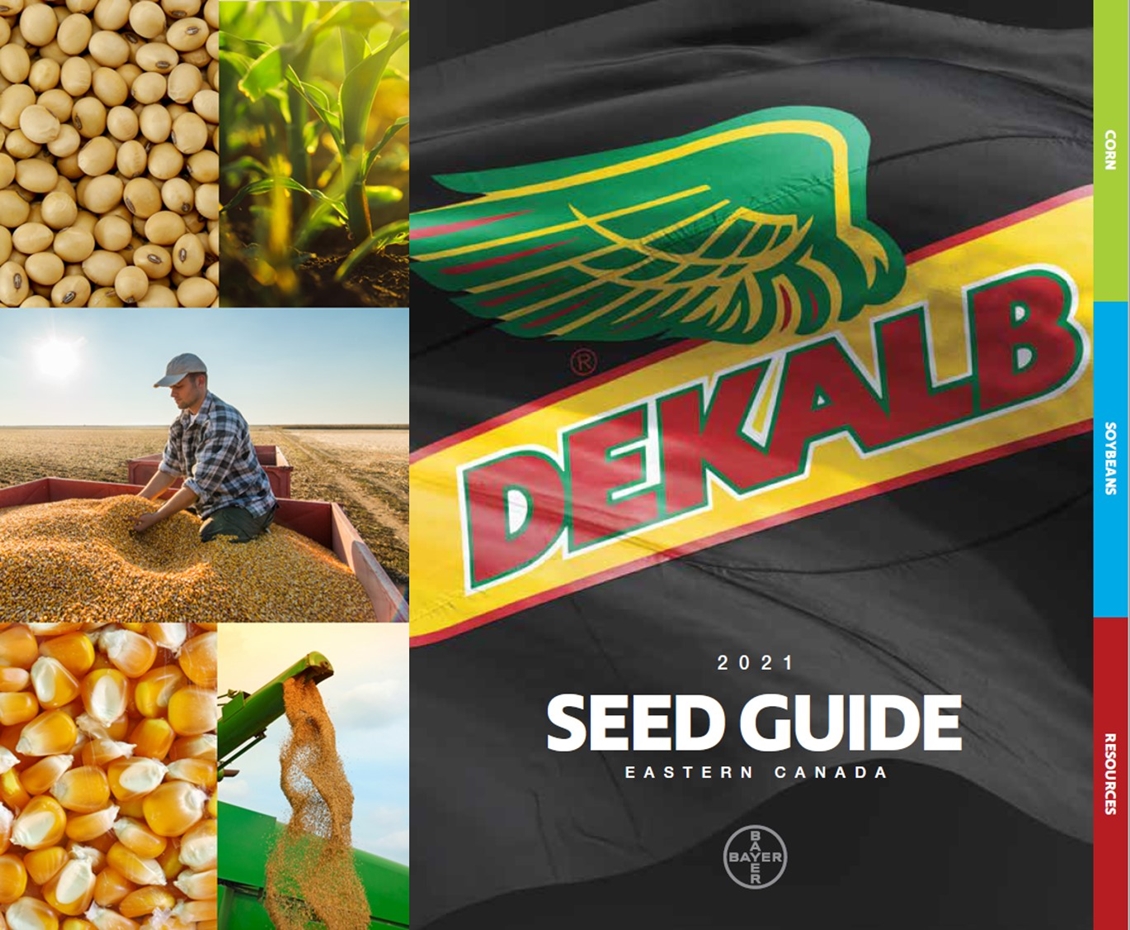 DEKALB Seed Guide Corn And Soybeans 2021 Synagri DEKALB Seed Guide Corn And Soybeans 2021 Synagri