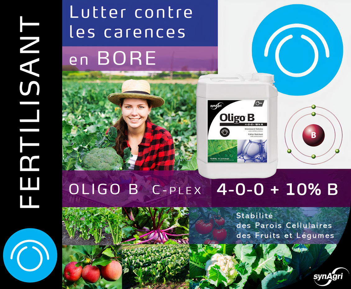 Fertilisation foliaire – Oligo B – 4-0-0 + 10% Bore – C-PLEX