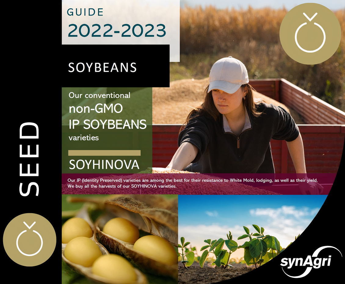 IP Soybeans Synagri Seed Guide 2022-2023