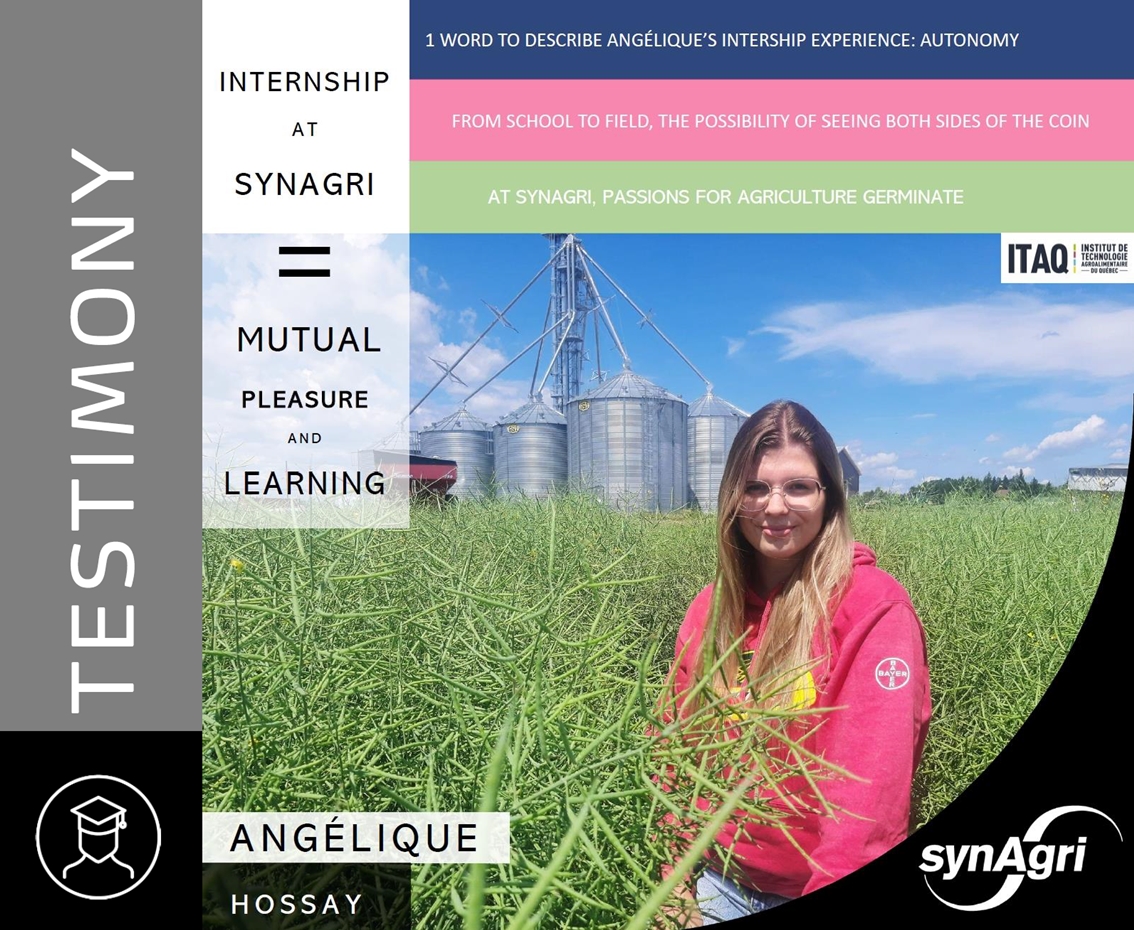 Stage Synagri